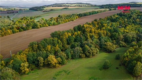 Prodej lesu, 29 949 m² 2
