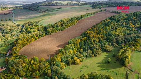 Prodej lesu, 29 949 m² 6