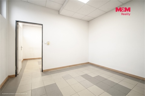 Pronájem obchodních prostor, 150 m² - 8