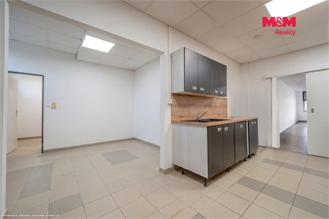 Pronájem obchodních prostor, 150 m² - 4