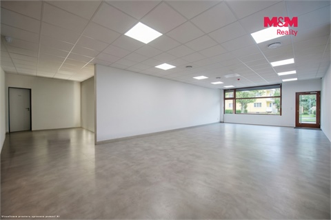 Pronájem obchodních prostor, 150 m² 6