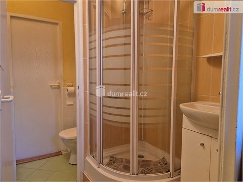 Pronájem bytu 2+1, 50 m² 12