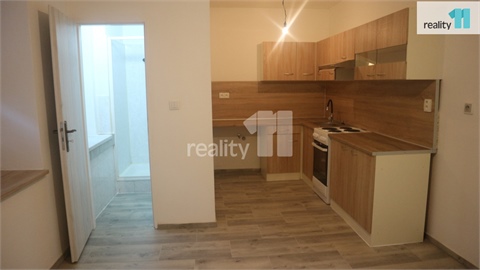 Pronájem bytu 1+1, 55 m² - 2