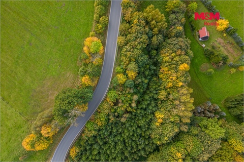 Prodej lesu, 467 m² - 0