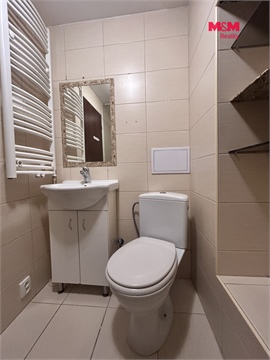 Pronájem bytu 4+1, 89 m² 12