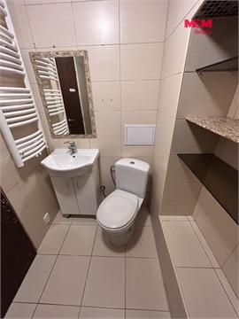 Pronájem bytu 4+1, 89 m² 10
