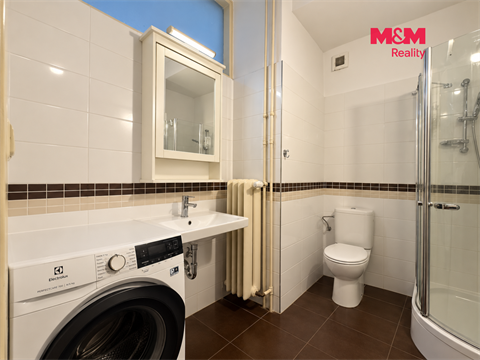 Pronájem bytu 3+1, 108 m² 10