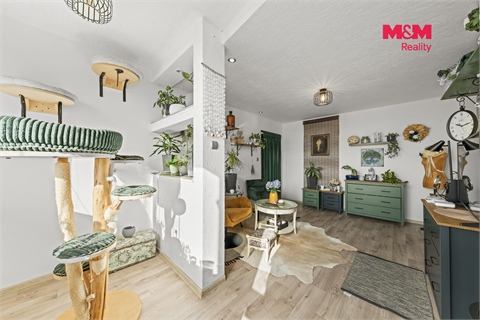 Prodej bytu 3+1, 65 m² 4