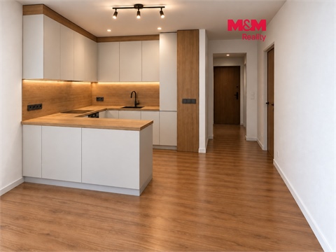 Prodej bytu 1kk, 29 m² 0