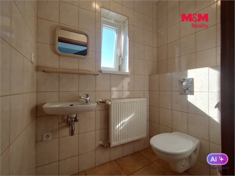Pronájem obchodních prostor, 38 m² - 6