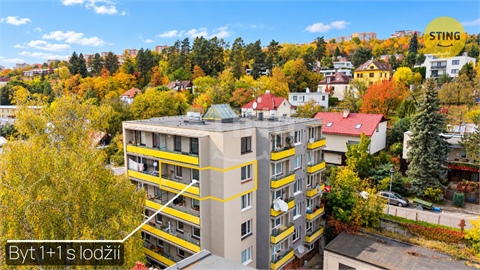Prodej bytu 1+1, 36 m² 0