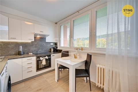 Prodej bytu 1+1, 29 m² 2