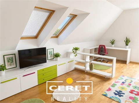 Prodej rodinného domu, 500 m² - 8