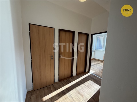 Pronájem bytu 1+1, 39 m² - 4