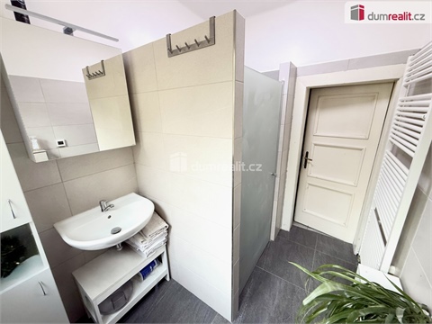 Prodej rodinného domu, 428 m² - 8