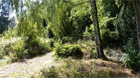 Prodej stavebního pozemku, 770 m² - 6