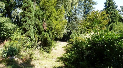 Prodej stavebního pozemku, 770 m² 8