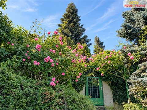 Prodej rodinného domu, 330 m² - 26