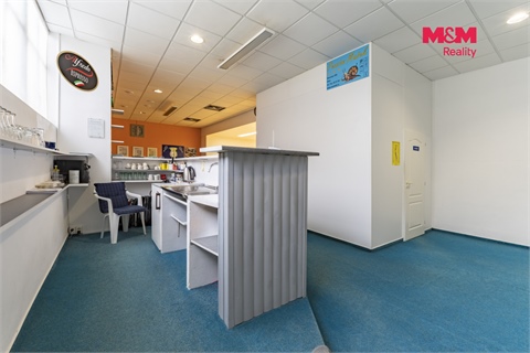 Prodej obchodních prostor, 130 m² 12