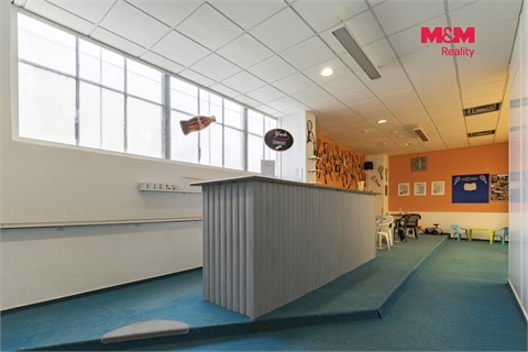 Prodej obchodních prostor, 130 m² 10