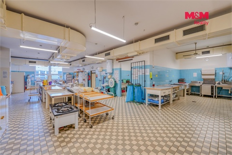 Prodej obchodních prostor, 30 198 m² - 24
