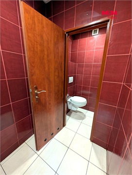 Pronájem obchodních prostor, 125 m² 10