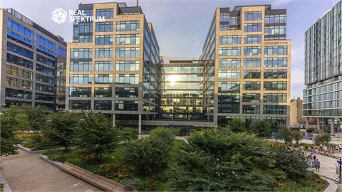 Pronájem kanceláře, 893 m² - 0