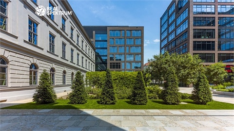 Pronájem kanceláře, 252 m² - 6