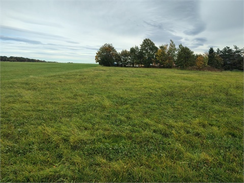 Prodej stavebního pozemku, 797 m² 0