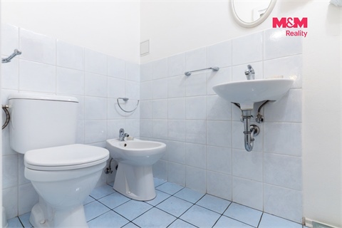 Prodej atypického bytu, 66 m² - 10