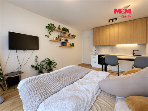 Pronájem bytu 1kk, 32 m² 6