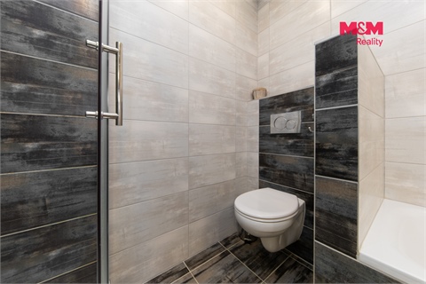Prodej rodinného domu, 290 m² - 22