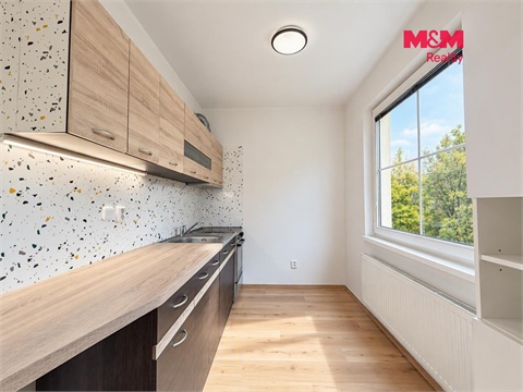 Pronájem bytu 1+1, 38 m² - 4
