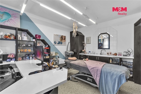 Prodej rodinného domu, 322 m² 14