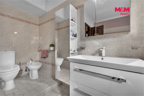 Prodej rodinného domu, 322 m² 24