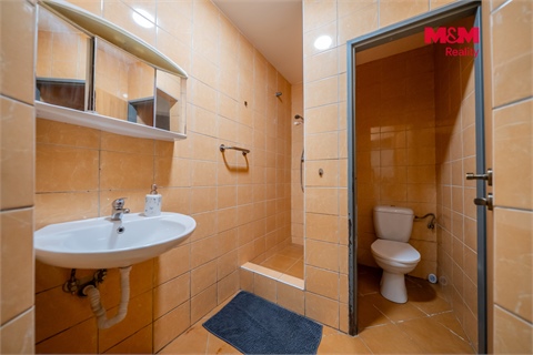 Prodej komerčního objektu, 99 m² - 8