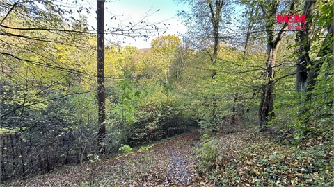 Prodej louky, 1 457 m² 4