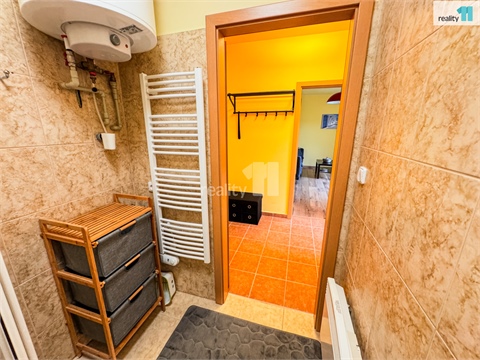 Prodej bytu 2+1, 61 m² - 28