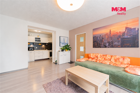 Pronájem bytu 3kk, 55 m² - 6