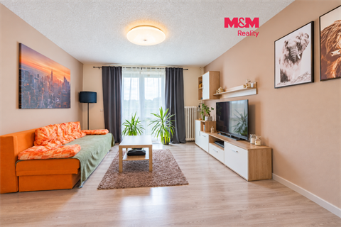 Pronájem bytu 3kk, 55 m² 0