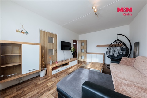 Prodej bytu 3+1, 65 m² 12