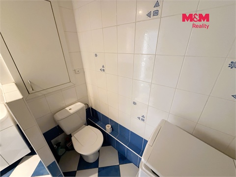 Pronájem bytu 1+1, 36 m² 10