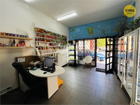 Pronájem obchodních prostor, 36 m² - 0