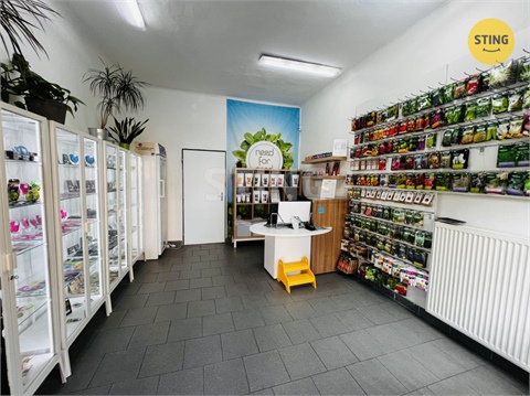 Pronájem obchodních prostor, 36 m² 0