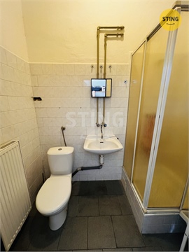 Pronájem obchodních prostor, 36 m² 4