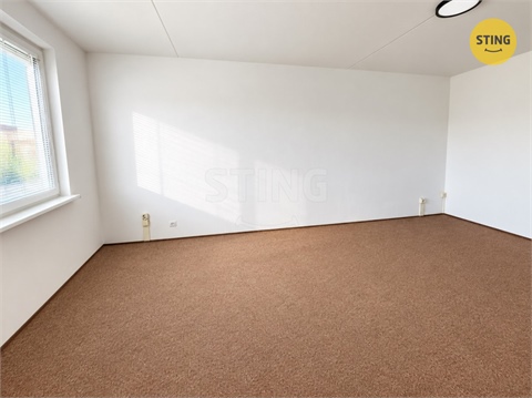 Pronájem bytu 2+1, 55 m² 8