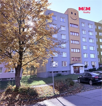 Pronájem bytu 1+1, 38 m² 6
