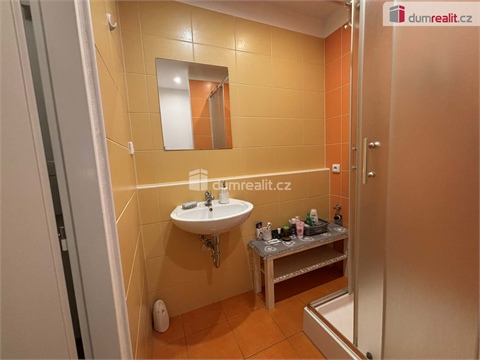 Pronájem bytu 1kk, 26 m² 18