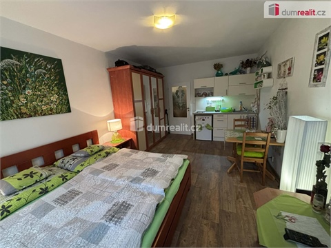 Pronájem bytu 1kk, 26 m² - 18