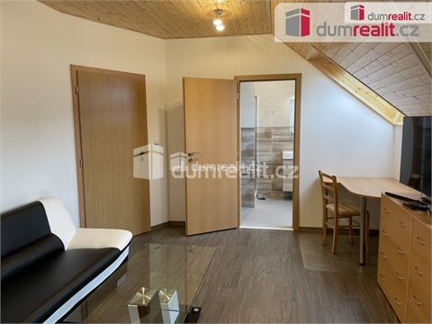 Pronájem bytu 1kk, 30 m² 10